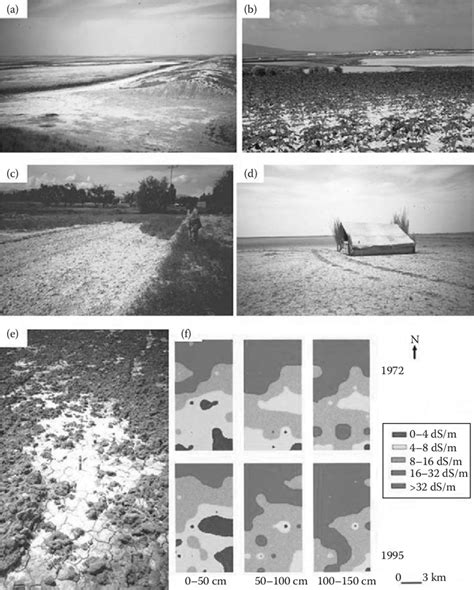 4 Effects Of Salinization On Crops And Soils Photos Courtesy Of