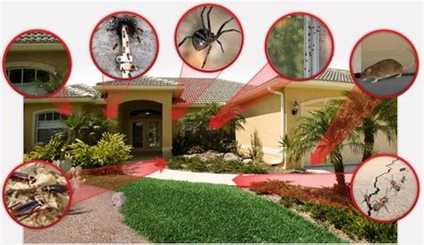 Diy pest control marietta ga. Click here for more information on our website: http://www.insightpestcontrol.com.au/ | Pest ...