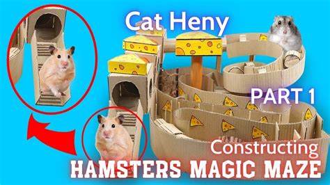 Techniques Of Constructing Magic Maze For Your Cute Hamsters Youtube
