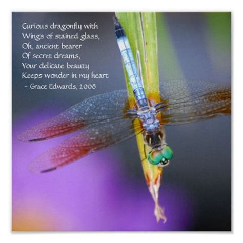 Dragonfly Poems And Quotes Quotesgram Dragonfly Symbolism Dragonfly
