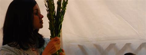 Why Do We Shake The Lulav And Etrog Why Not Just Hold