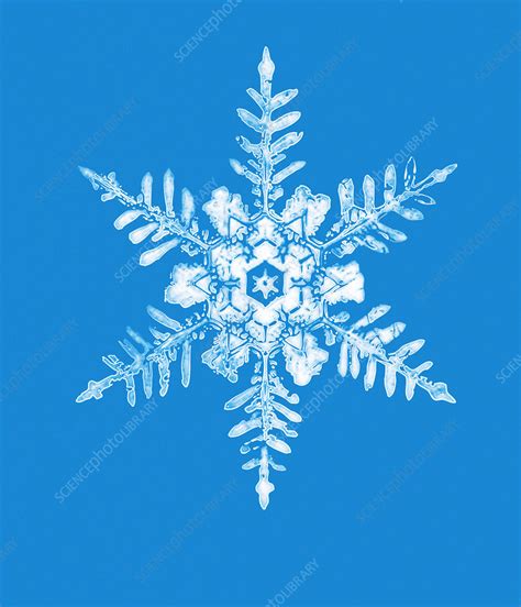 Snowflake Stock Image E1270353 Science Photo Library