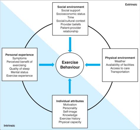 Factors Influencing Exercise Adherence For People With Osteoarthritis