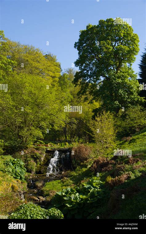 Dawyck Botanical Gardens Scottish Borders Uk Stock Photo Alamy
