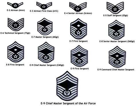 Air Force Rank Chart Air Force Afjrotc Rank Structure Enlisted Rank E
