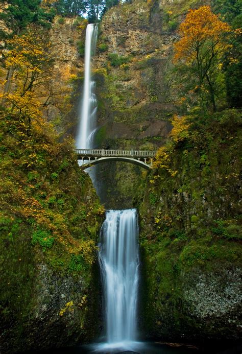 Fall At Multnomah Falls Our First Trip To Oregon We Logge Flickr
