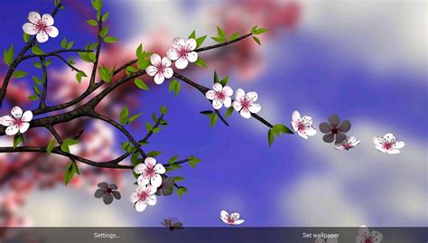 3d Effect Flower Nature Wallpaper Hd 3d Images Gallery
