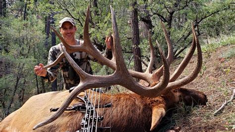 New Mexico Archery Elk Hunting 2019 Bow Hunt Youtube