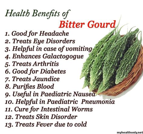 Bitter gourd is scientifically known as momordica charantia. 14 Effective Benefits of Bitter Gourd - My Health Only