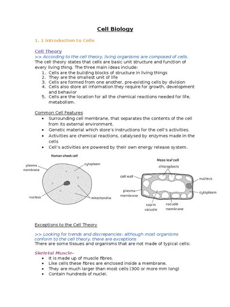 1 Cell Biology Notes