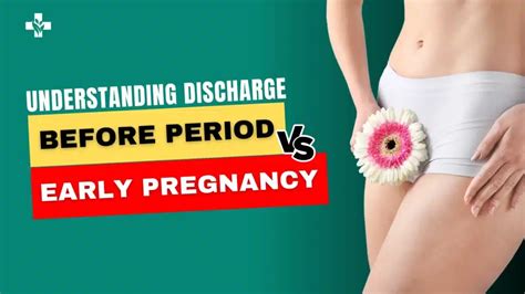 Decoding The Differences Discharge Before Period Vs Early Pregnancy