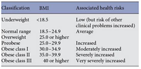 Bmi Obesity Classification