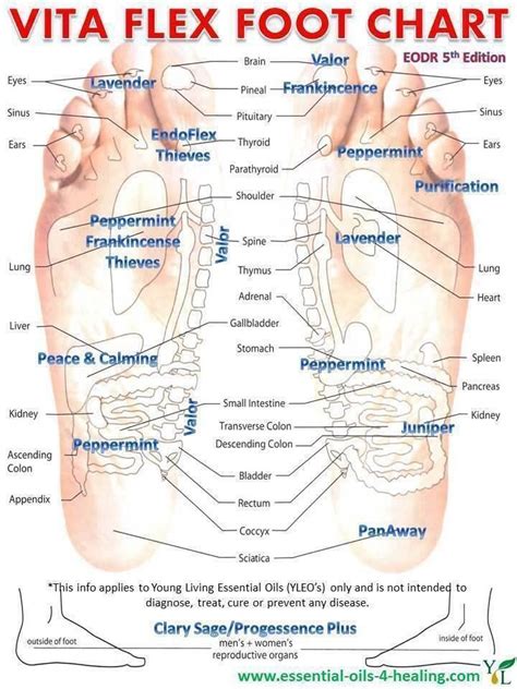 These Are Points On Your Feet That Correspond With Your Body Put Young