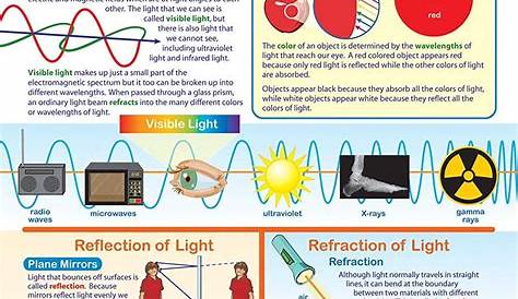 refraction and reflection worksheet