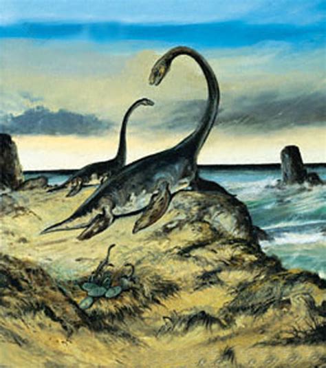 Plesiosaurus Dinosaur Posters Theories Dinosaur Gallery