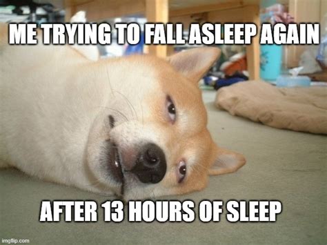Doge Sleep Imgflip