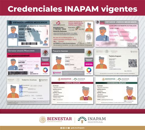 Estas Son Las Credenciales Del Inapam Vigentes En Para Obtener The