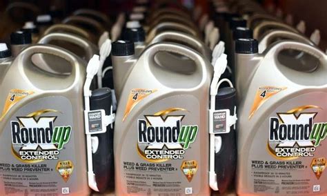 US Won T Approve Labels That Say Glyphosate Causes Cancer