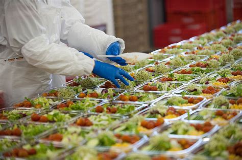 Ein ausführlicher bericht über die arbeit des unternehmens frigemo ag. lebensmittelindustrie.com: Hemp Bites: Der innovative ...