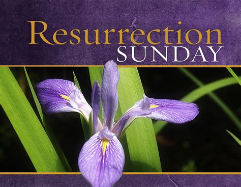 Easter Sunday Resurrection Easter Resurrection Resurrection Sunday