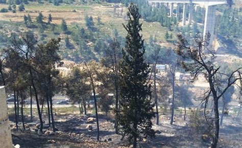 Get the forecast for today, tonight & tomorrow's weather for ירושלים, מחוז ירושלים, ישראל. N12 - לוהט: אש ליד בתים, כבישים חסומים
