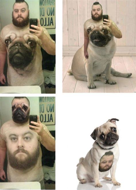 Pug Self Pic Fat Guy Photoshop Funny Pictures And Best Jokes