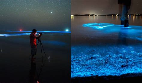 This Glow In The Dark Pakistani Bioluminescent Beach Is The Coolest