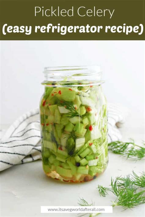 Pickled Celery Quick And Spicy It S A Veg World After All