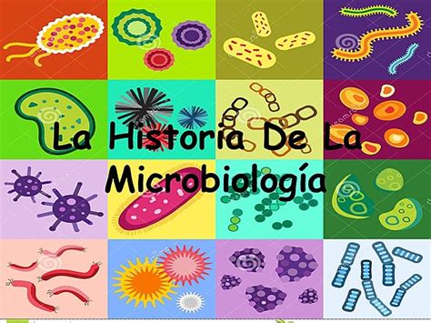 La Historia De La Microbiología Timeline Timetoast Timelines