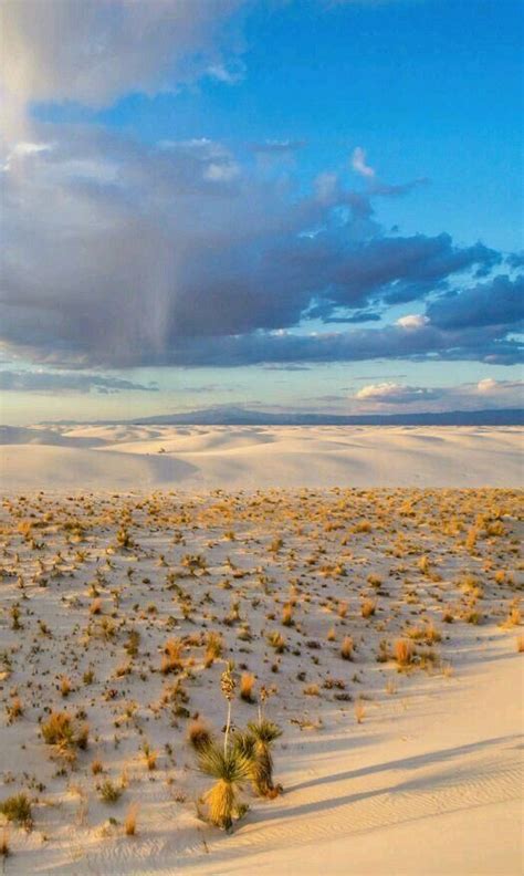 White Sands National Park New Mexico Usa National Parks Nature