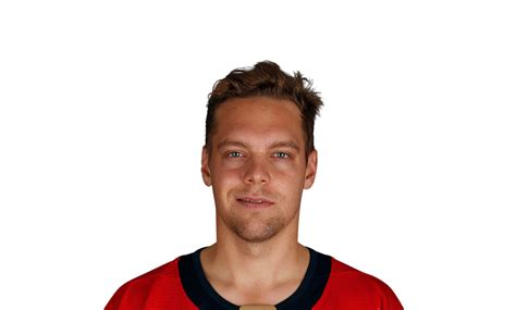 Red Wings add to goaltending depth by signing Harri Sateri - Sportsnet.ca