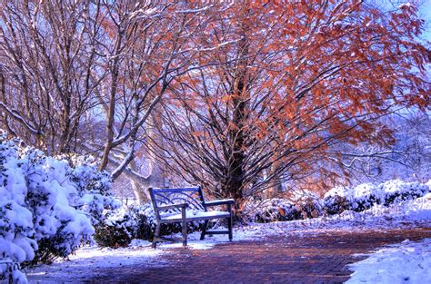 First Snow Hd Wallpaper Background Image 2048x1355