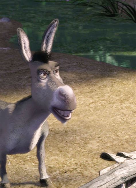 Animated Donkey In Disney Film