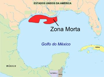 É denominado golfo do méxico (em espanhol: Zona Morta do Golfo do México - Brasil Escola