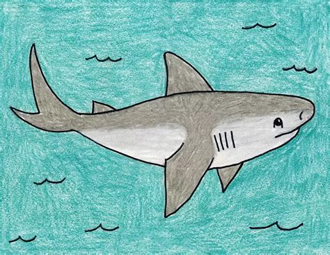 Simple The Right Way To Draw A Shark Tutorial Video And Shark Coloring