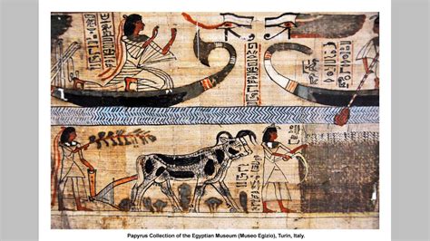 ancient egyptian turin papyrus