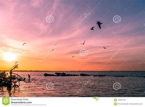 A Beautiful Sunset Over The Bay Stock Photo Image Of Florida Beach