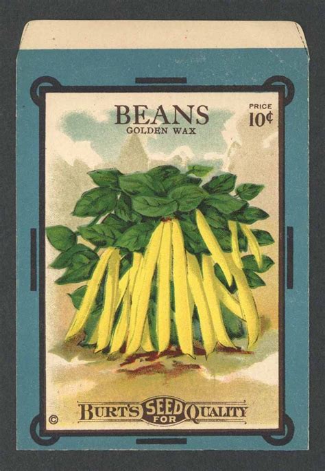 Pin On Antique Seed Packets