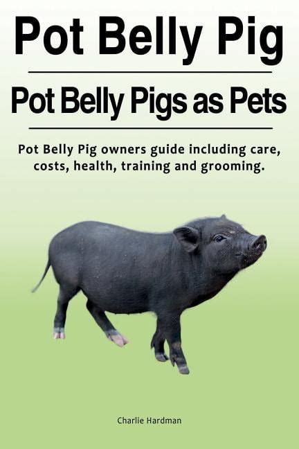 Pot Belly Pig Pot Belly Pigs As Pets Pot Belly Pig Owners Guide