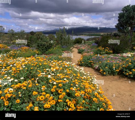 Clanwilliam South Africa Hi Res Stock Photography And Images Alamy