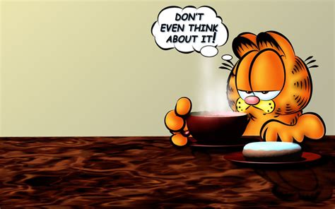 Garfield Funny Wallpapers Garfield Images