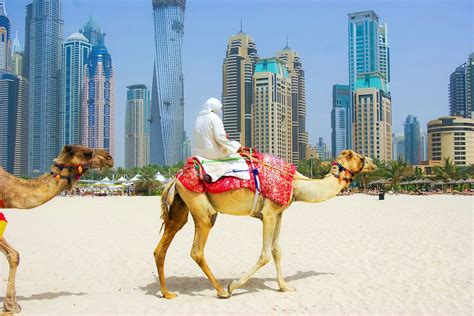 If what you've chosen to wear doesn't quite. How to ride a camel on Marina Beach in Dubai