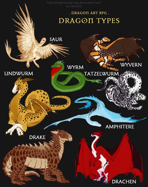 Drarpg Dragon Types Sketches By Frivarts On Deviantart