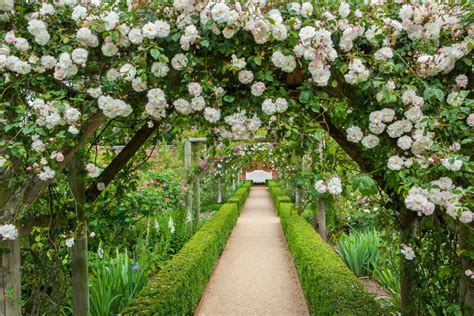 Great Rose Gardens To Visit The English Garden