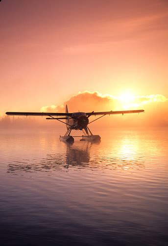 Float Planes Pictures Download Free Images On Unsplash