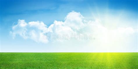 Details 100 Sky With Grass Background Abzlocalmx