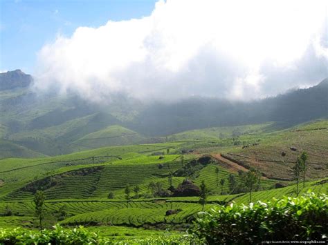 Why You Should Visit Kerala During Monsoon Best Places To Travel
