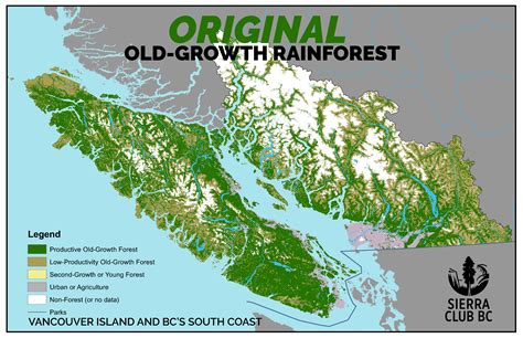 Vancouver Island Old Growth Logging Rate Will Lead To