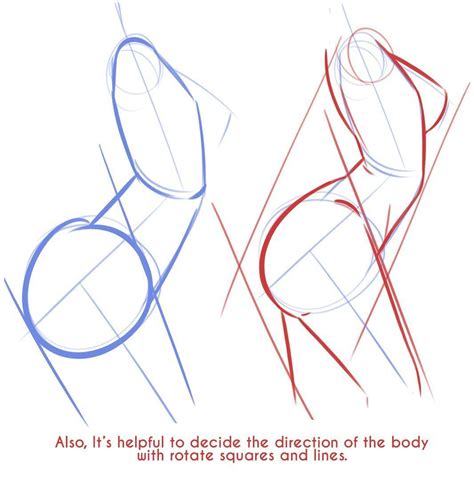 Human Body Drawing Reference Free Download On Clipartmag