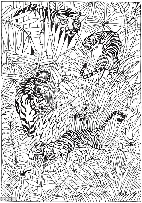 You can use our amazing online tool to color and edit the following jungle coloring pages for adults. Tiger In The Jungle Coloring Page Stock Illustration ...